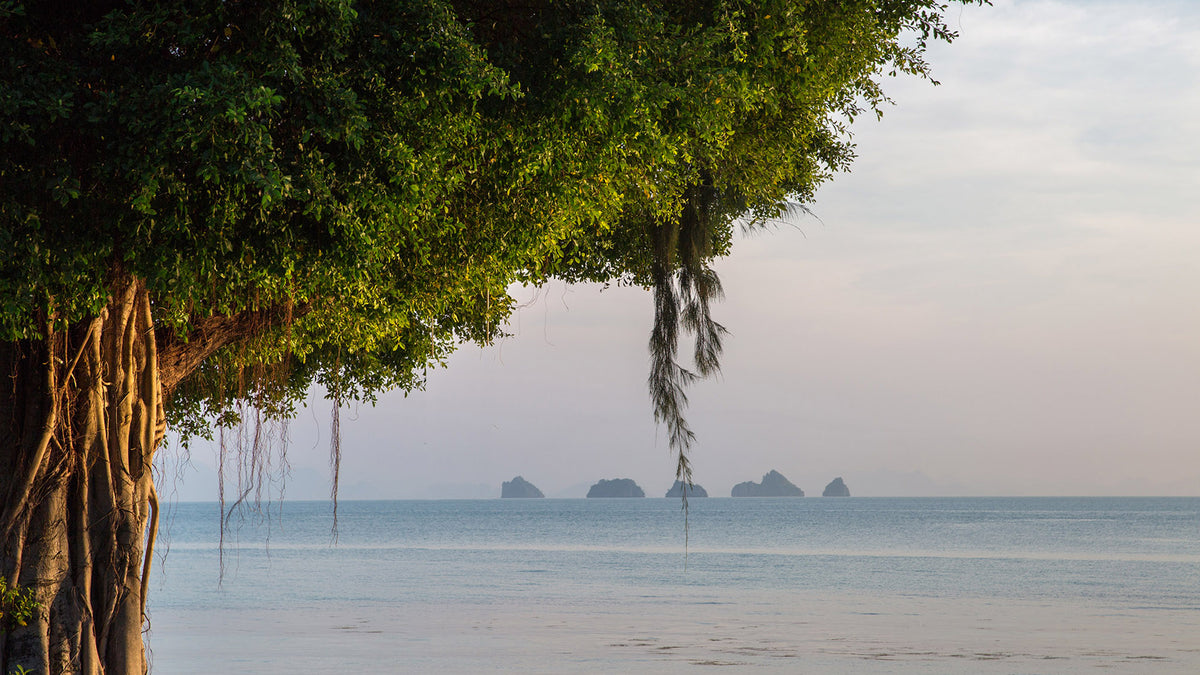 Beachfront 6-bedrooms peaceful garden villa in Lipa Noi beach (with big green garden, separate building rooms and large common area, tennis court on private area)